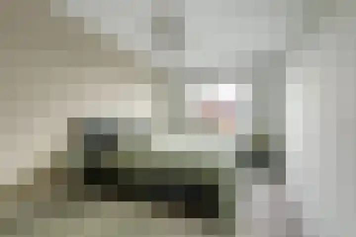 Amforastraat 16 Gendt thumbnail 36
