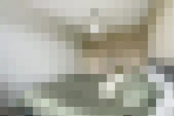Amforastraat 16 Gendt thumbnail 37