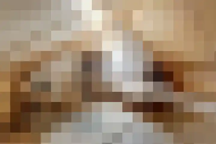 Amforastraat 16 Gendt thumbnail 43