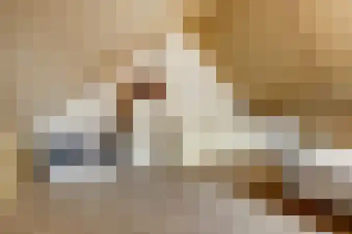 Amforastraat 16 Gendt thumbnail 44
