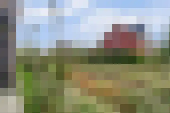 Amforastraat 16 Gendt thumbnail 47