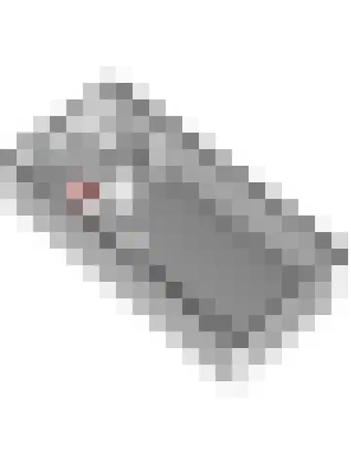 Amforastraat 16 Gendt thumbnail 49