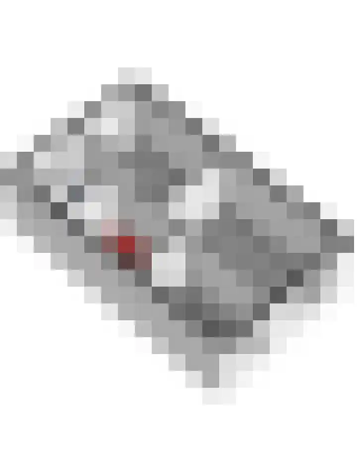 Amforastraat 16 Gendt thumbnail 51