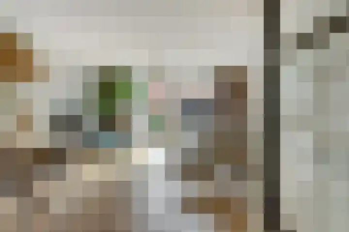 Amforastraat 16 Gendt thumbnail 7