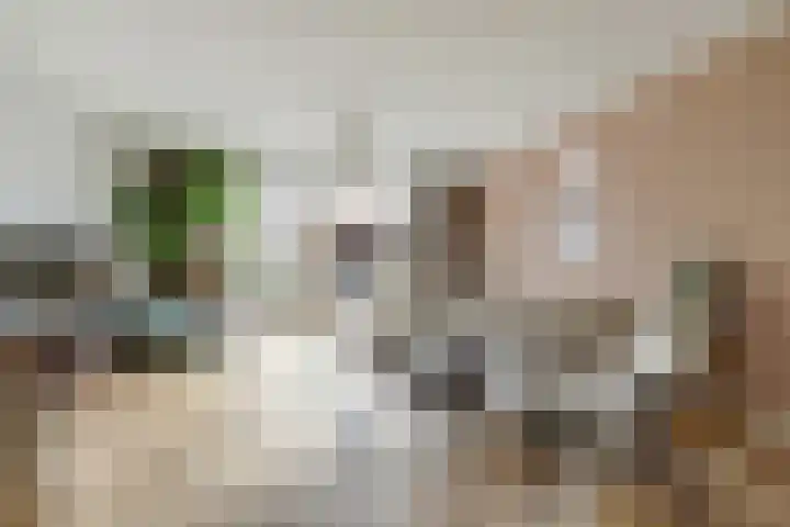Amforastraat 16 Gendt thumbnail 8