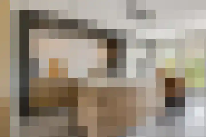 Amforastraat 26 Gendt thumbnail 13