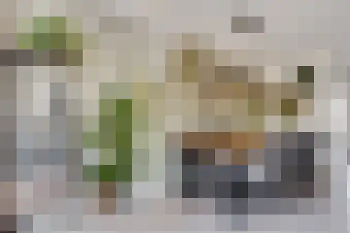 Amforastraat 26 Gendt thumbnail 17