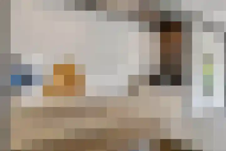 Amforastraat 26 Gendt thumbnail 21