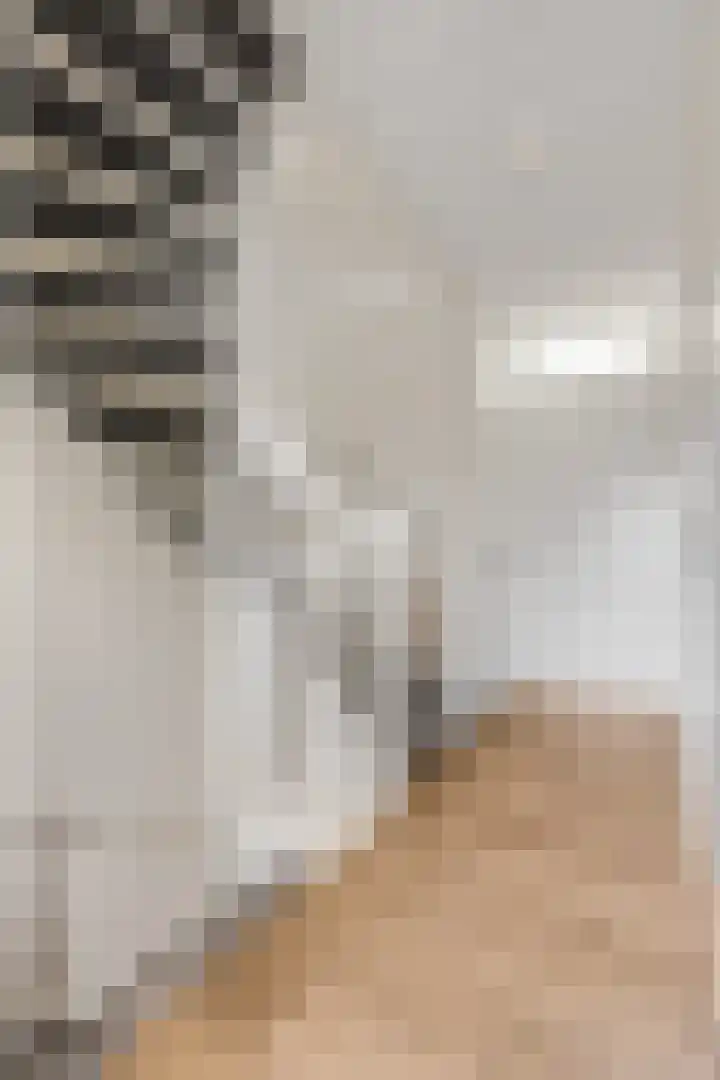 Amforastraat 26 Gendt thumbnail 25