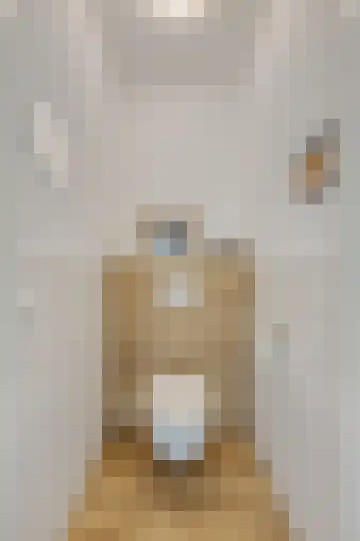 Amforastraat 26 Gendt thumbnail 26