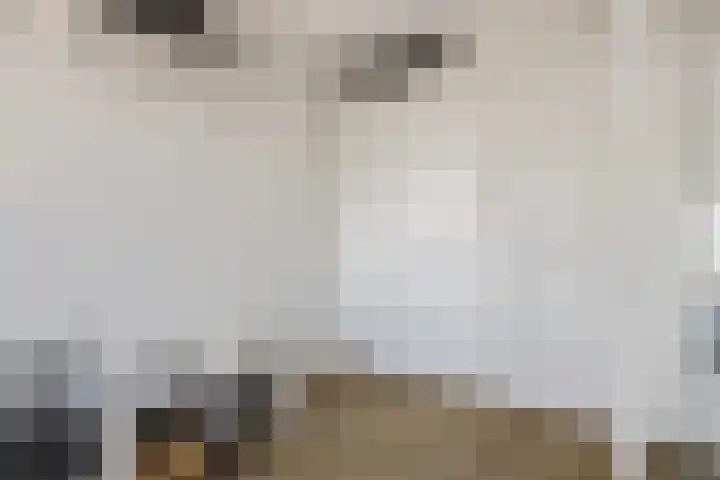 Amforastraat 26 Gendt thumbnail 28