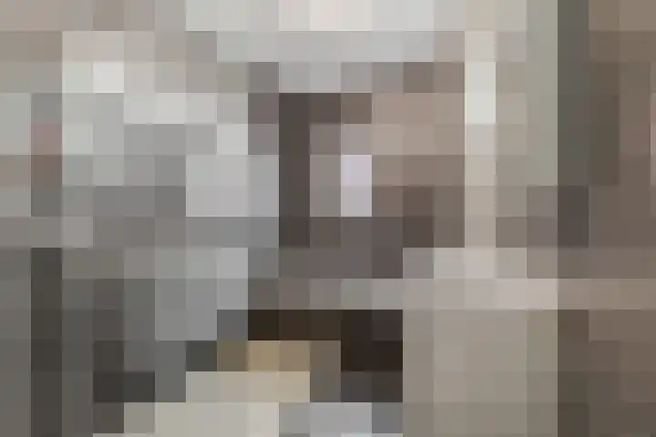 Amforastraat 26 Gendt thumbnail 32