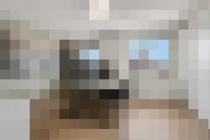 Amforastraat 26 Gendt thumbnail 34