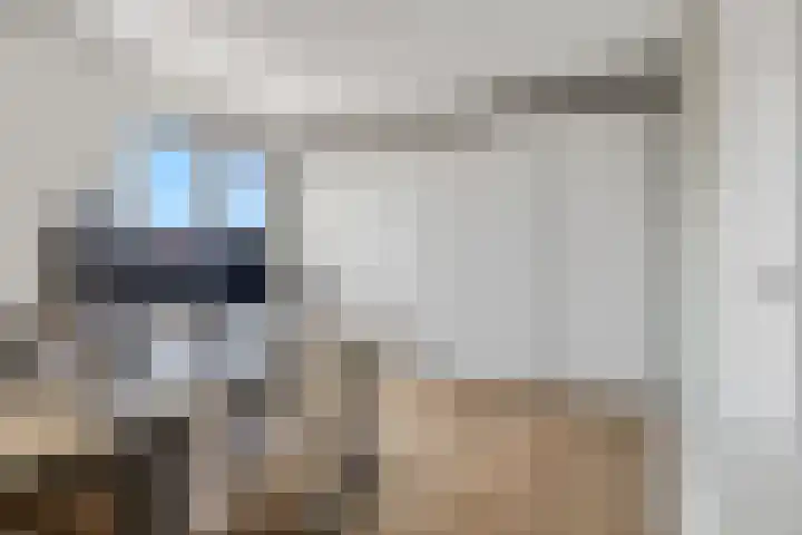 Amforastraat 26 Gendt thumbnail 35