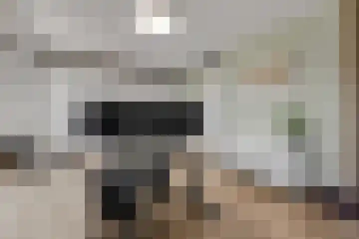 Amforastraat 26 Gendt thumbnail 36