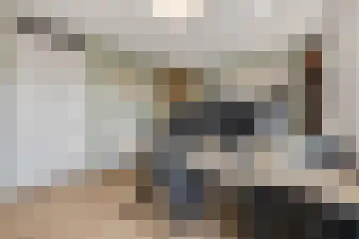 Amforastraat 26 Gendt thumbnail 37