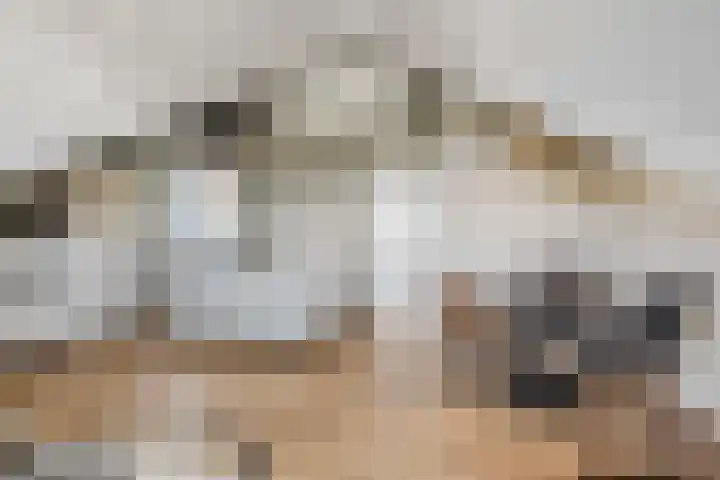 Amforastraat 26 Gendt thumbnail 4