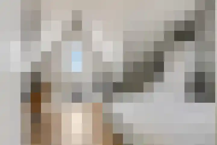 Amforastraat 26 Gendt thumbnail 40