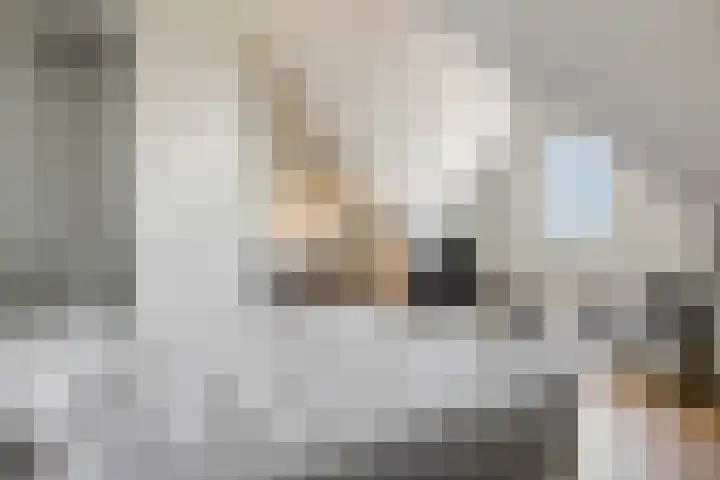 Amforastraat 26 Gendt thumbnail 43