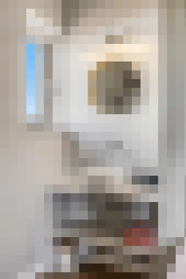 Amforastraat 26 Gendt thumbnail 44