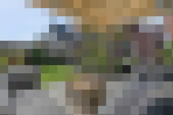 Amforastraat 26 Gendt thumbnail 47