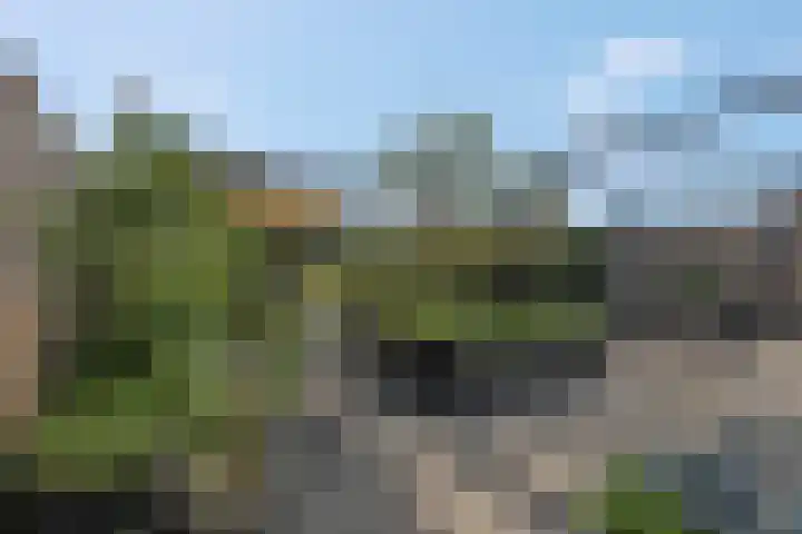 Amforastraat 26 Gendt thumbnail 51