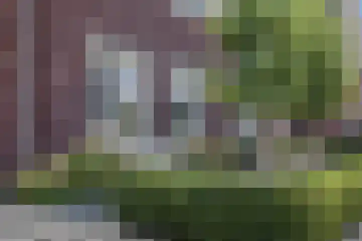 Amforastraat 26 Gendt thumbnail 52