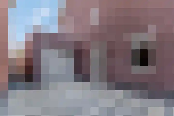 Amforastraat 26 Gendt thumbnail 53