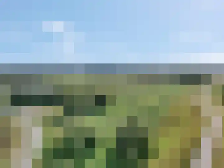 Amforastraat 26 Gendt thumbnail 58