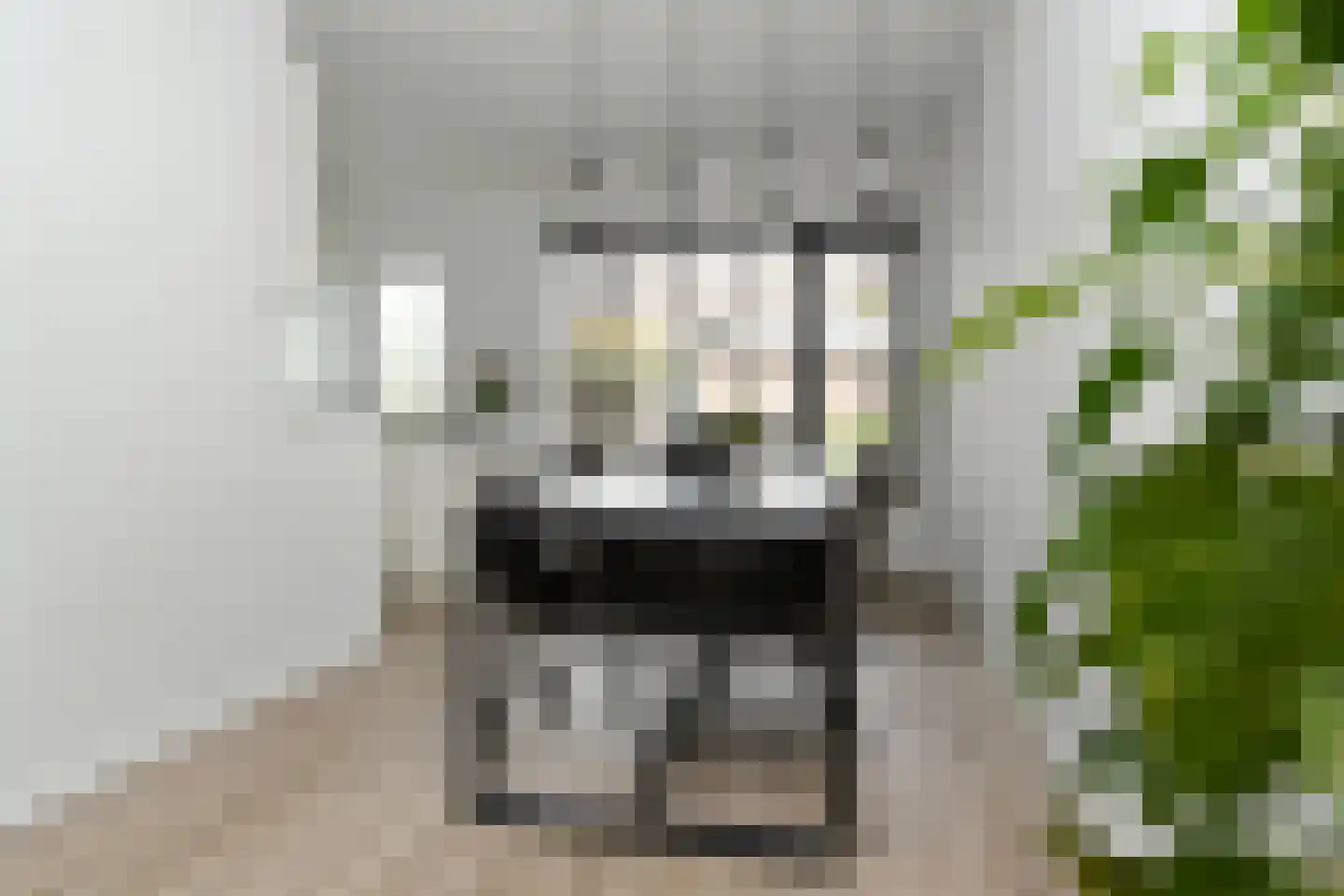 Amienslaan 21 Eindhoven thumbnail 11