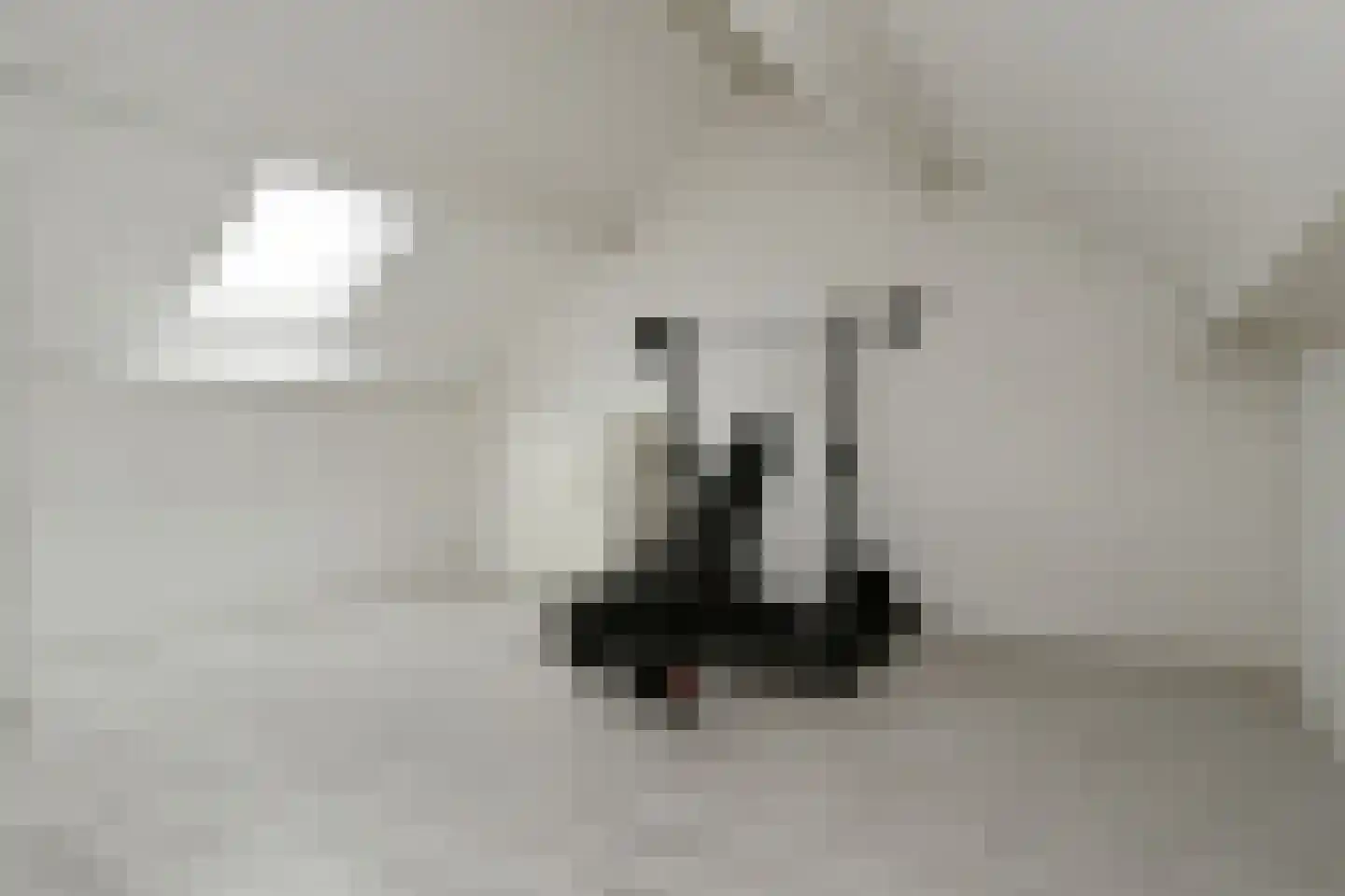 Amienslaan 21 Eindhoven thumbnail 24