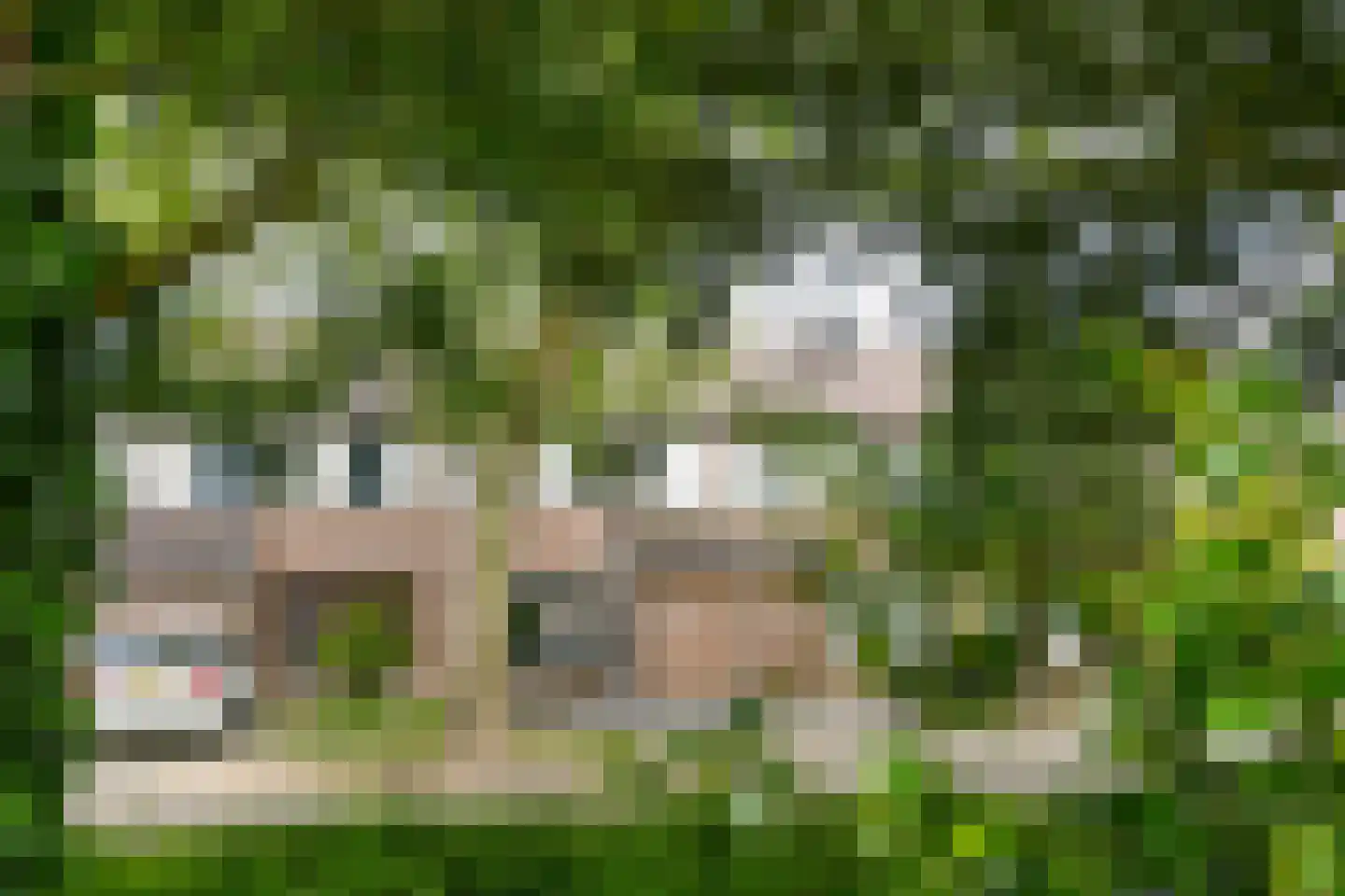 Amienslaan 21 Eindhoven thumbnail 32