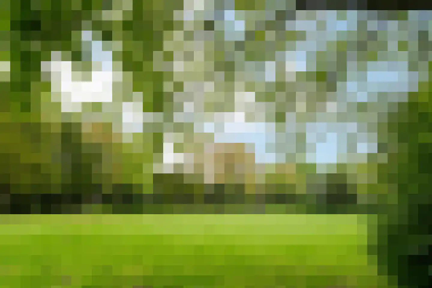 Amienslaan 21 Eindhoven thumbnail 35