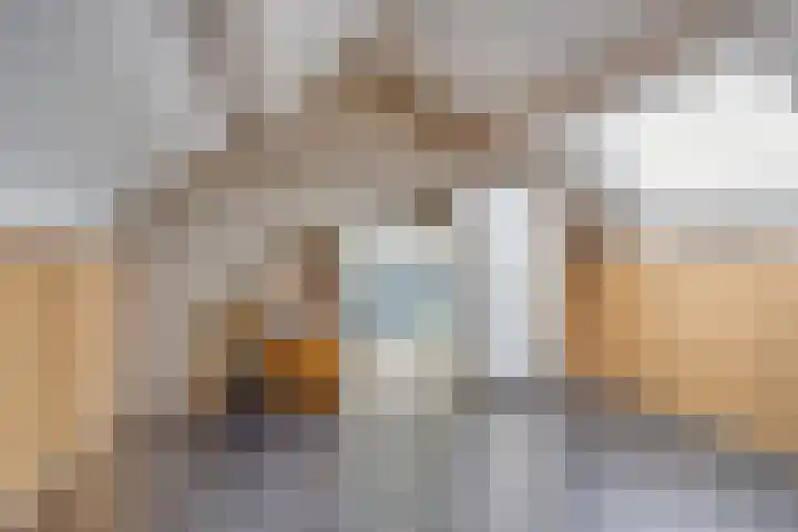 Amienslaan 39 Eindhoven thumbnail 24