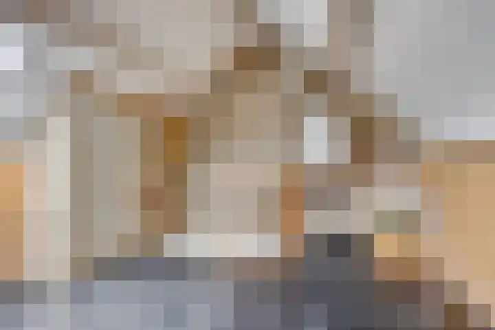 Amienslaan 39 Eindhoven thumbnail 25