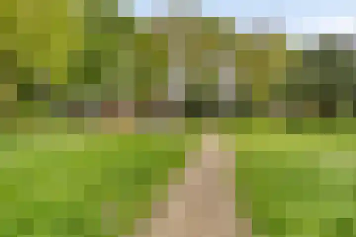 Amienslaan 39 Eindhoven thumbnail 28