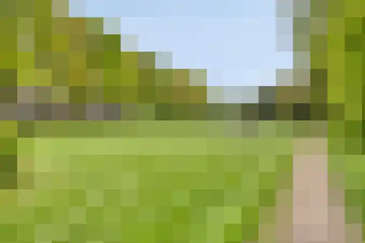Amienslaan 39 Eindhoven thumbnail 29