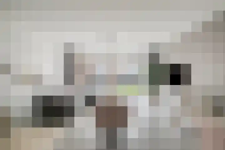 Amijsdonk 10 Helmond thumbnail 11