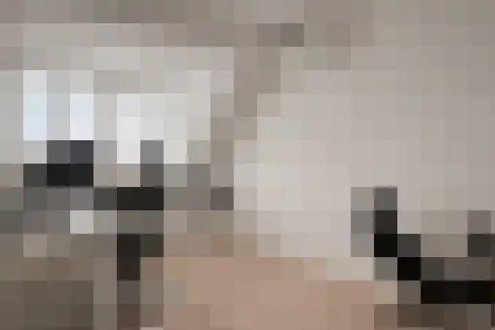 Amijsdonk 10 Helmond thumbnail 30