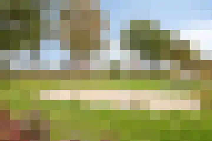 Amijsdonk 10 Helmond thumbnail 36