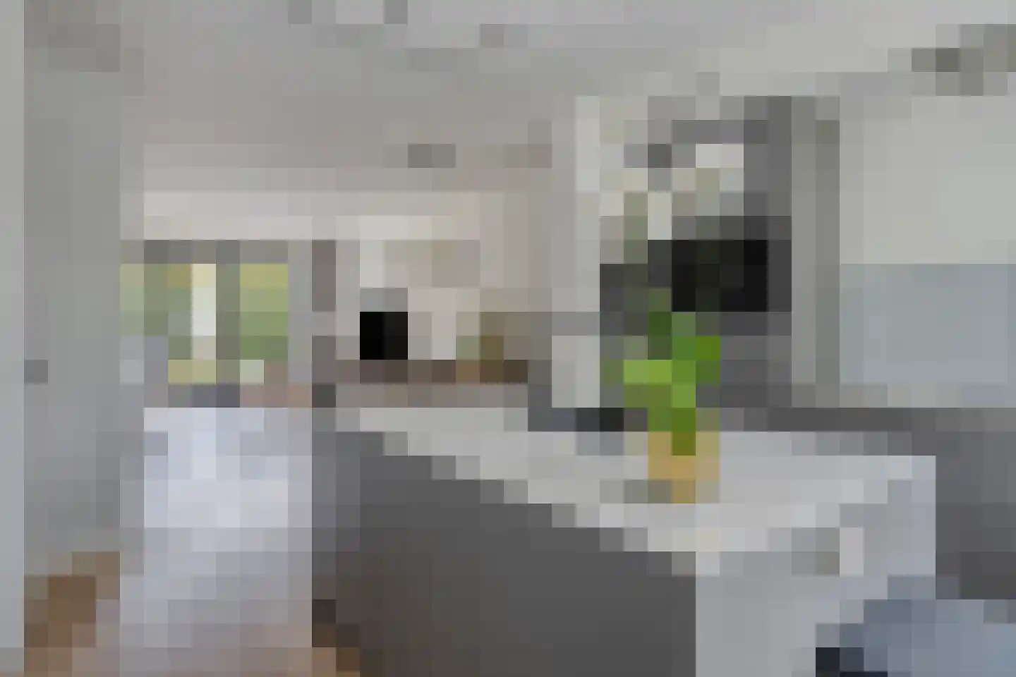 Amijsdonk 14 Helmond thumbnail 13