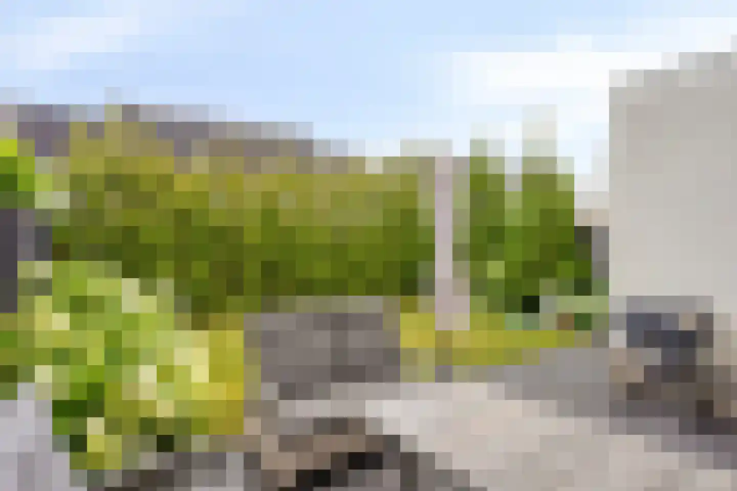 Amijsdonk 14 Helmond thumbnail 19