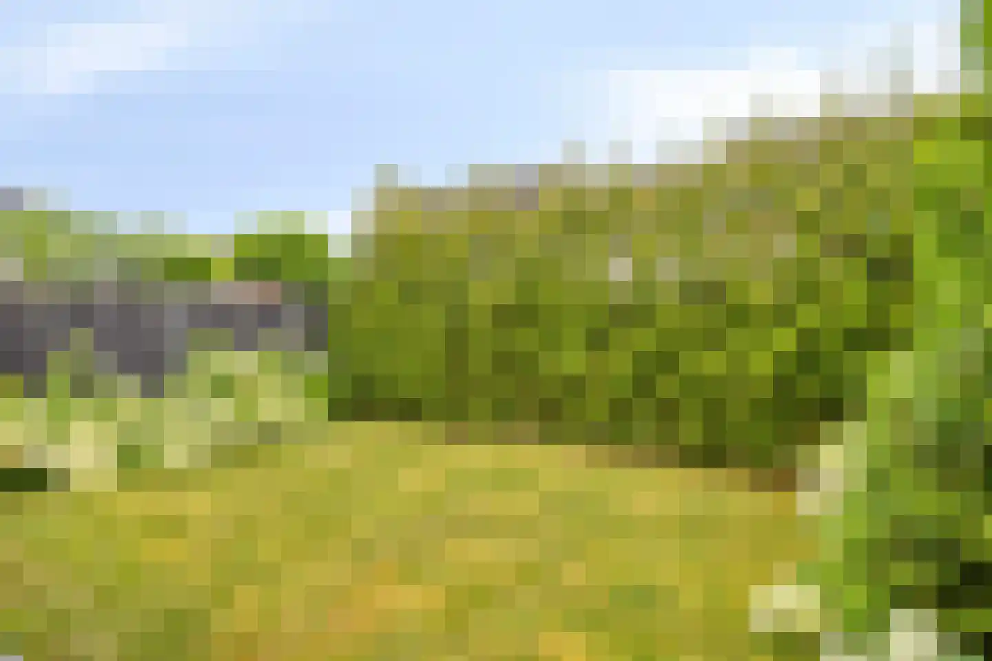 Amijsdonk 14 Helmond thumbnail 20