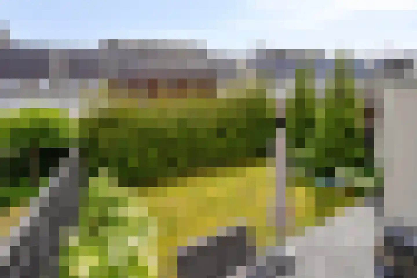 Amijsdonk 14 Helmond thumbnail 22