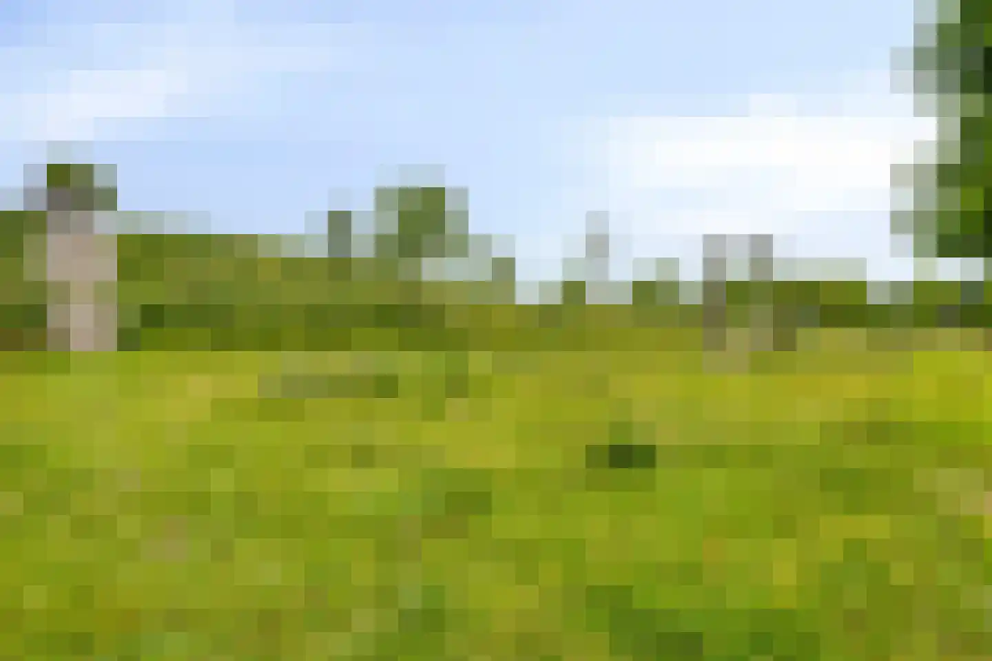 Amijsdonk 14 Helmond thumbnail 39