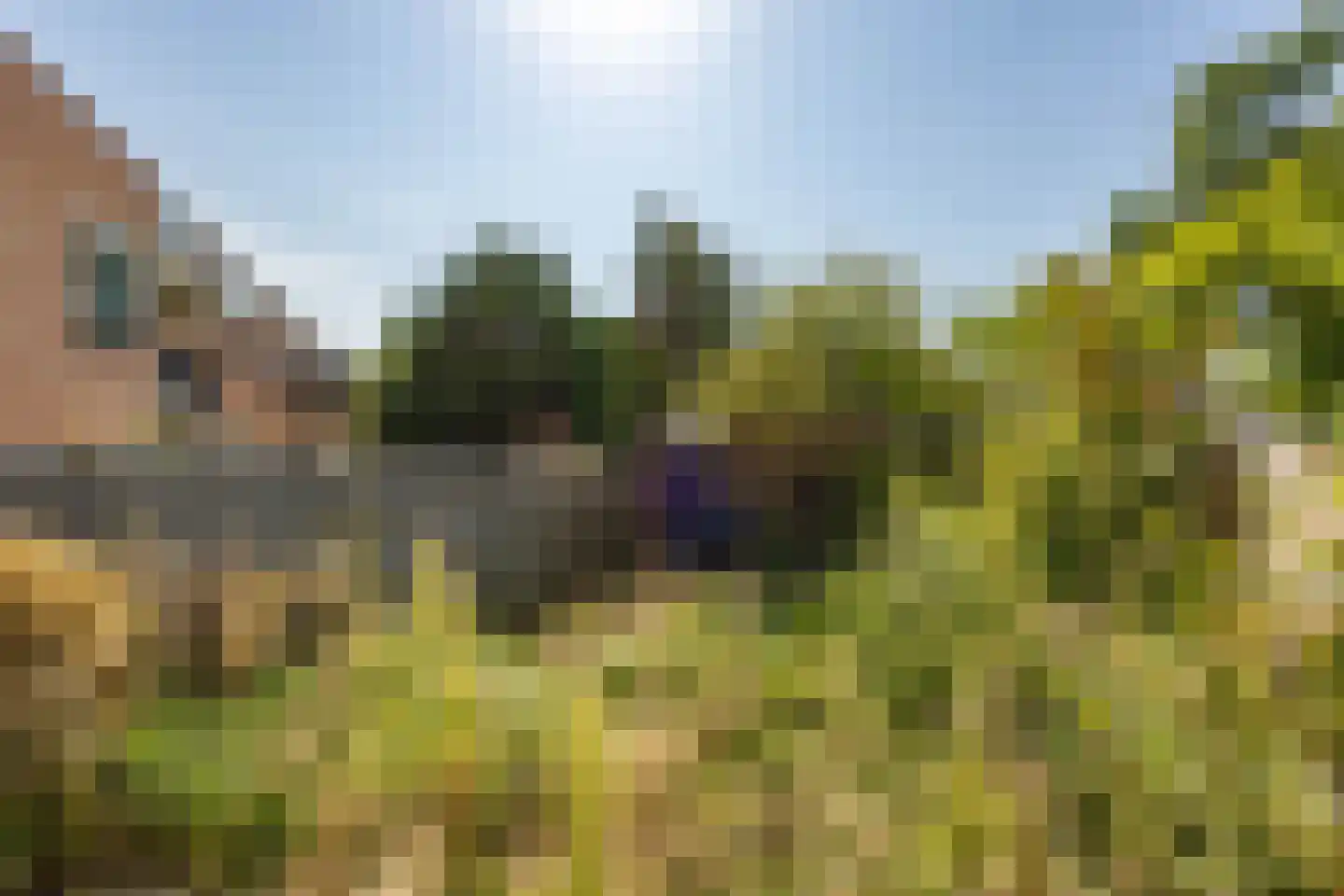 Amkemaheerd 235 Groningen thumbnail 31