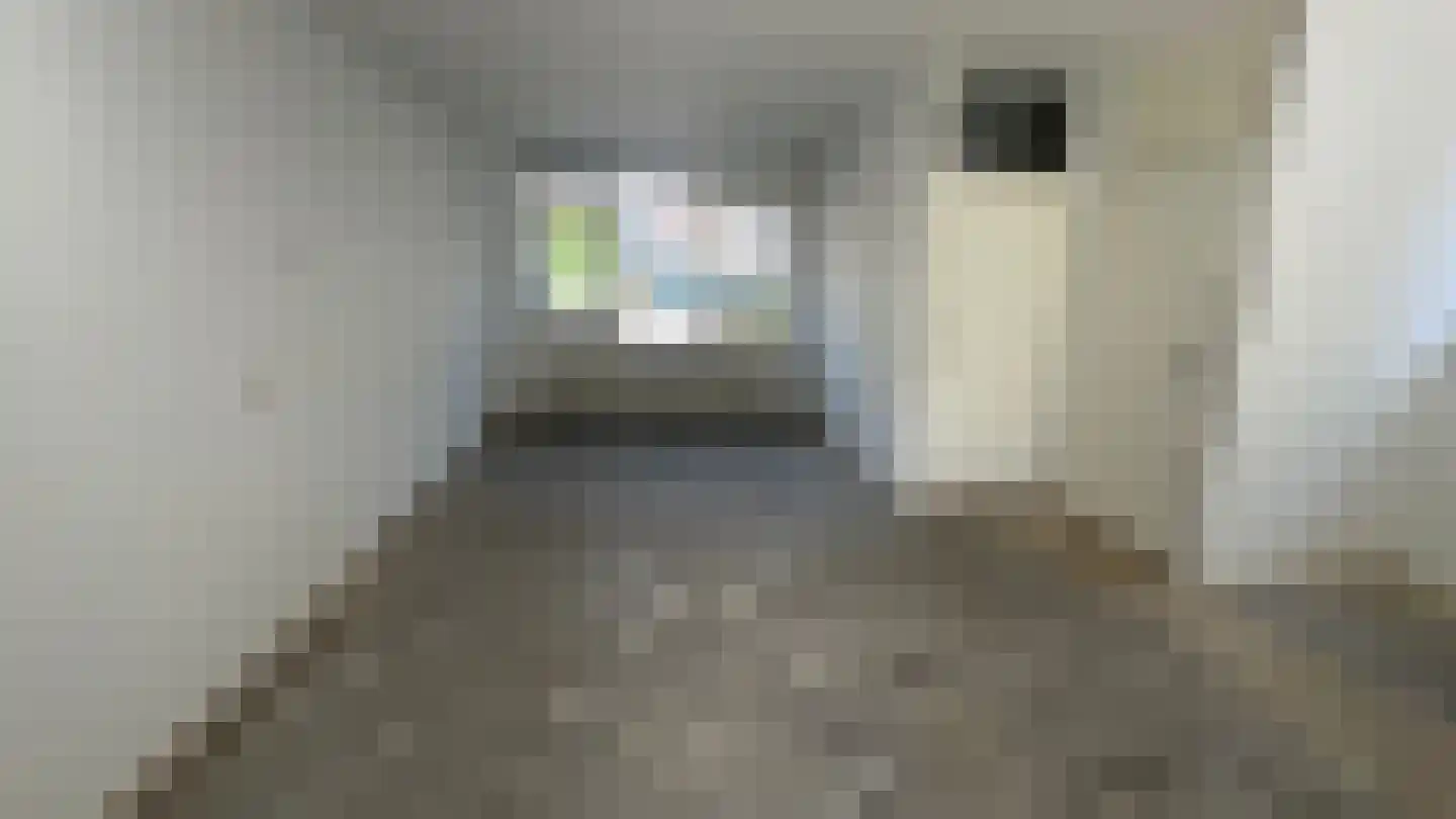 Amkemaheerd 235 Groningen thumbnail 9