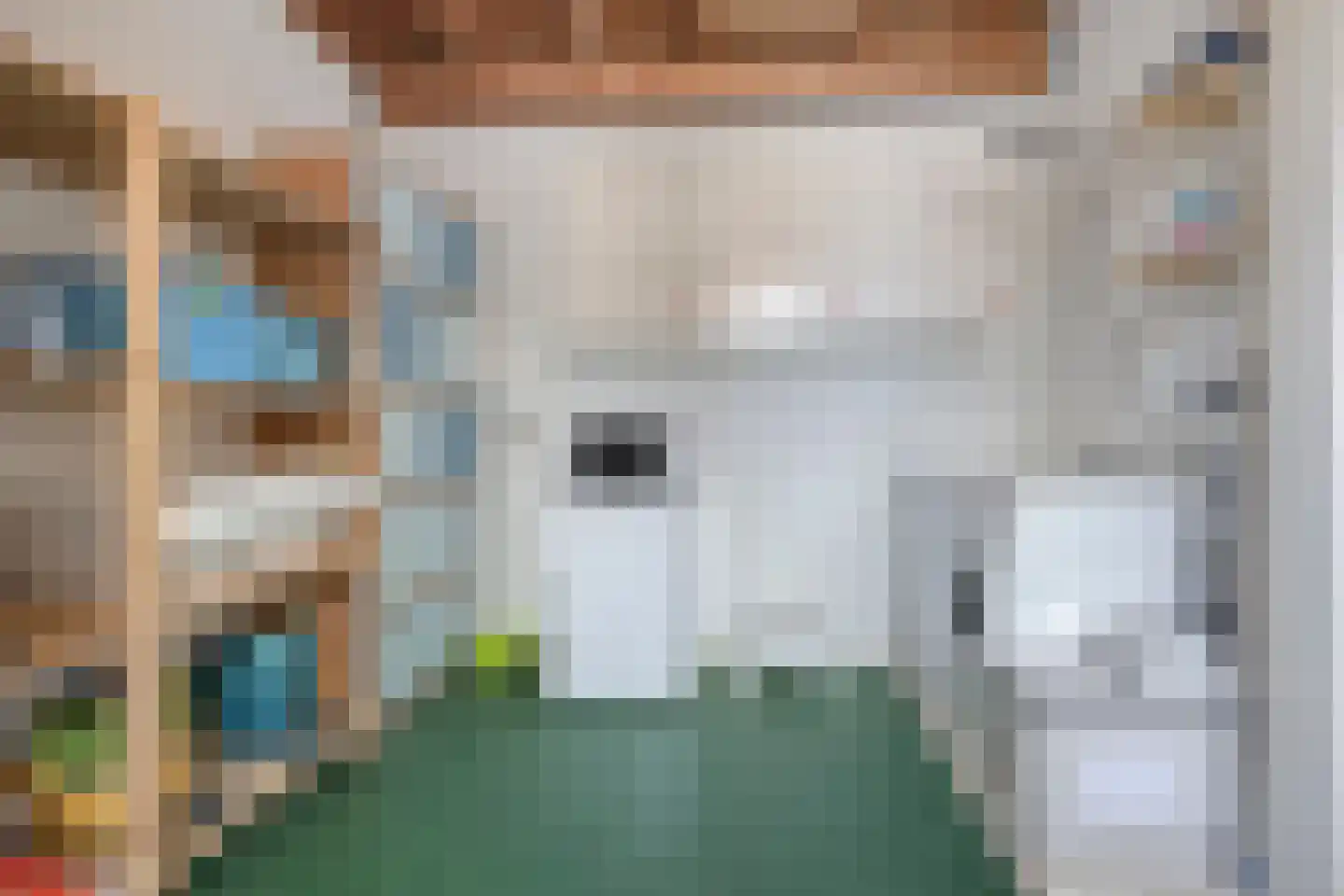 Amkemaheerd 260 Groningen thumbnail 14