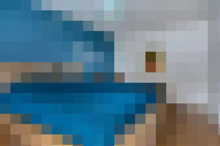 Amkemaheerd 260 Groningen thumbnail 16