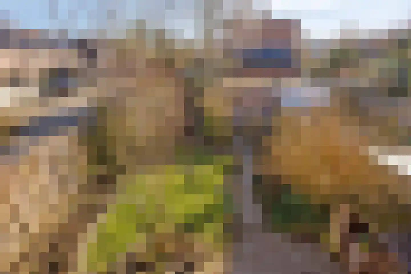 Amkemaheerd 260 Groningen thumbnail 19